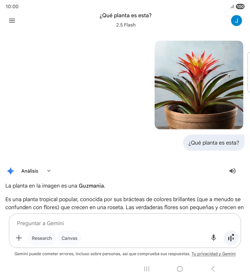 Sigue las indicaciones de la pantalla para escribir o decir en alto la pregunta deseada. Puedes adjuntar fotografías o documentos y hacer preguntas acerca de ellos.