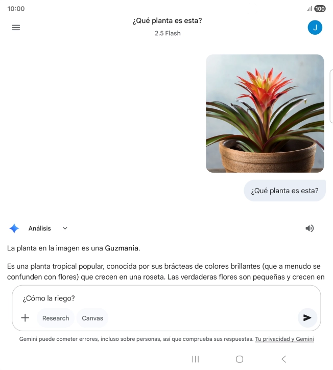 Sigue las indicaciones de la pantalla para escribir o decir en alto más preguntas y continuar la conversación.