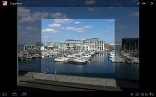 Drag the frame to the required position to select the required detail.