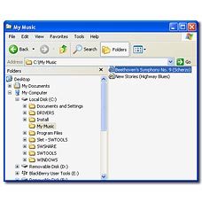 Highlight the required file and move or copy it to your phone.