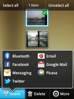 Press one of the following social networks:Picasa, go to 3a.