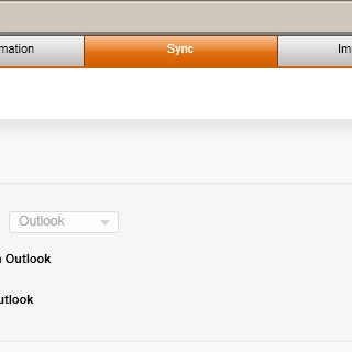 Select the Sync tab.Select the required data types to highlight them.