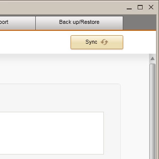 Select Sync to back up the memory.