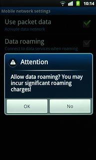 If you turn on data roaming:Press OK to confirm.