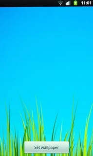 Press Set wallpaper.