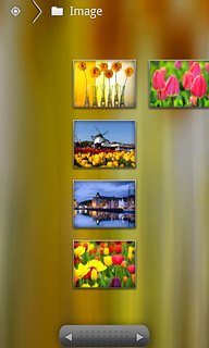 Go to the required folder.Press the required picture.