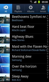 Press the required audio file or the required playlist.