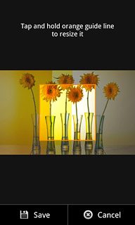 Drag the frame to the required position to select the required detail.