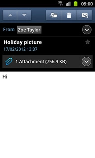Press the send email message icon.