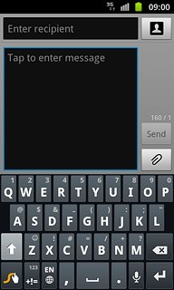 Press and hold the text input field until a pop-up menu is displayed.