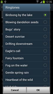 Once you've found a ring tone you like, press OK.