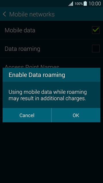 If you turn on data roaming:Press OK to confirm.