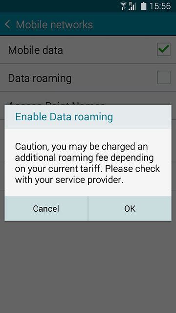 If you turn on data roaming:Press OK to confirm.