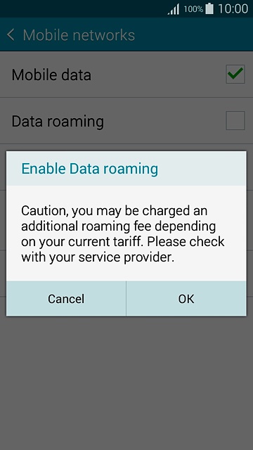 If you turn on data roaming:Press OK to confirm.