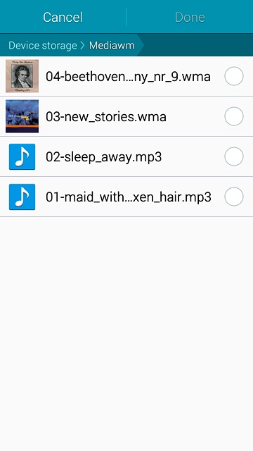 Press the field next to the required audio file.