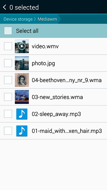 Press the box next to the required file.
