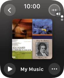 Press the play icon to start the playback.