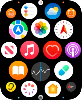 Press the heart rate sensor icon.