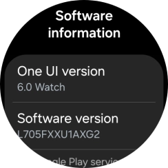 The software version of your smartwatch is displayed below Software version.