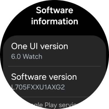 The software version of your smartwatch is displayed below Software version.