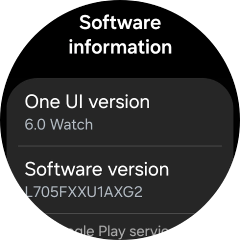 The software version of your smartwatch is displayed below Software version.