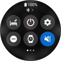 Press the suppression of calls and notifications icon to turn the function on or off.