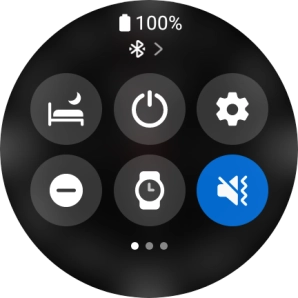 Press the suppression of calls and notifications icon to turn the function on or off.