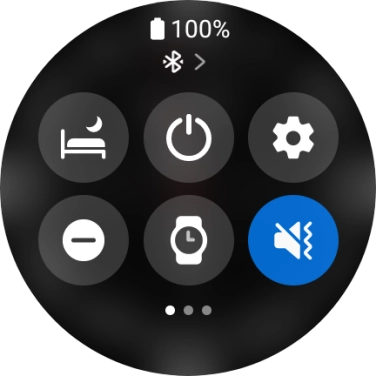 Press the suppression of calls and notifications icon to turn the function on or off.