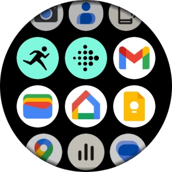 Press the Fitbit Exercise icon.