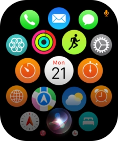 Say, in your own words, what you would like your Apple Watch to do.