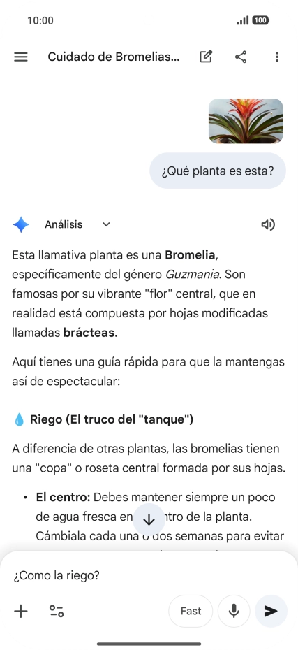 Sigue las indicaciones de la pantalla para escribir o decir en alto más preguntas y continuar la conversación. Sigue las indicaciones de la pantalla para escribir o decir en alto más preguntas y continuar la conversación.