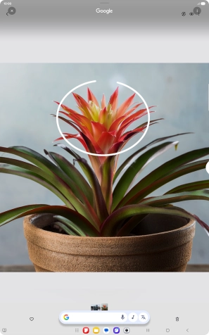 Draw a circle around the required object on the picture and wait for the search results.