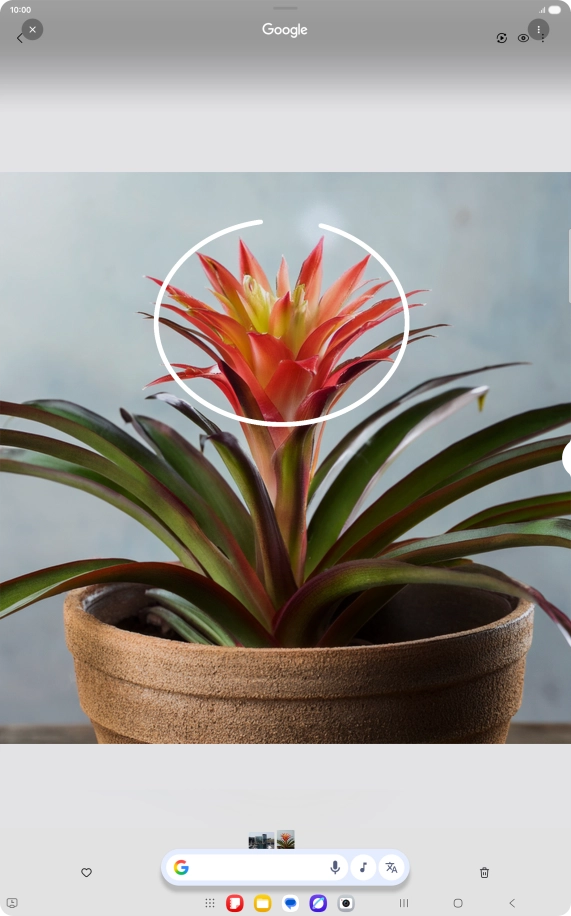 Draw a circle around the required object on the picture and wait for the search results.