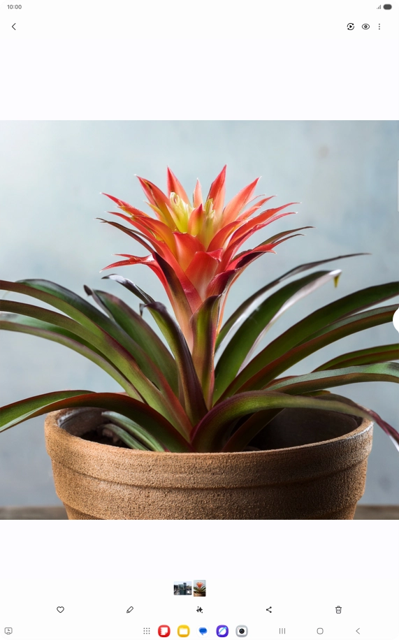 Go to the required picture.