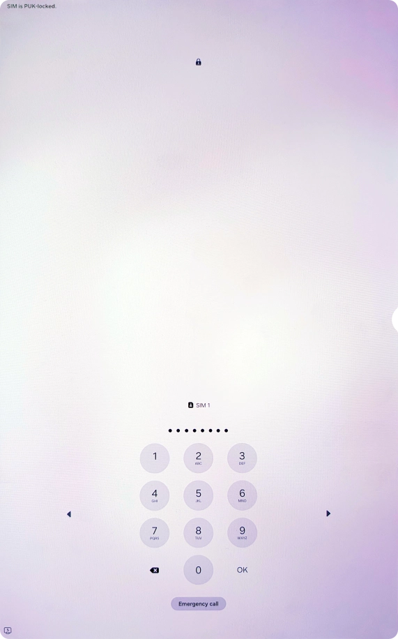 Key in the PUK and press OK.