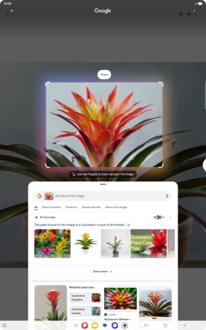 Follow the instructions on the screen to use the search results.