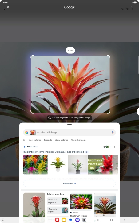 Follow the instructions on the screen to use the search results.