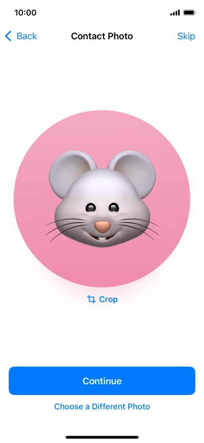 Follow the instructions on the screen to customise the selected picture and press Continue.