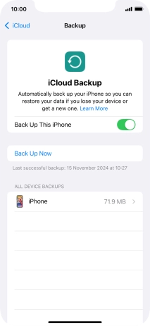 Press Back Up Now and wait while the phone memory is backed up.