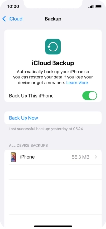Press Back Up Now and wait while the phone memory is backed up.