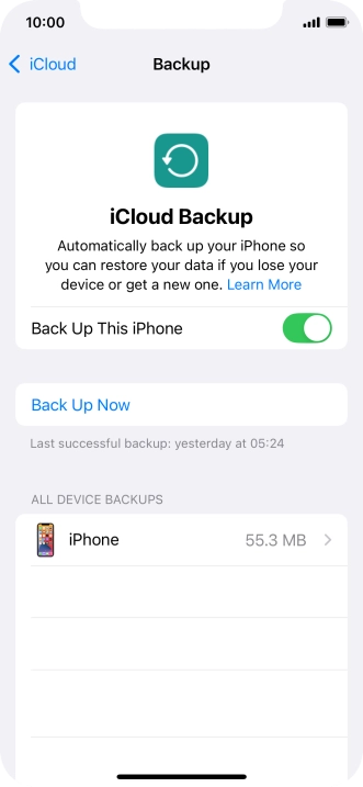 Press Back Up Now and wait while the phone memory is backed up.