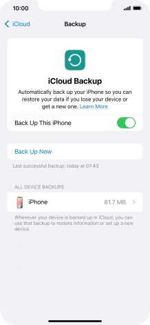Press Back Up Now and wait while the phone memory is backed up.