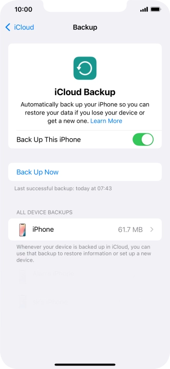 Press Back Up Now and wait while the phone memory is backed up.