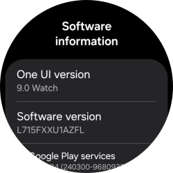The software version of your smartwatch is displayed below One UI version.