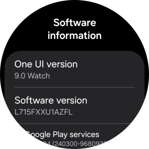 The software version of your smartwatch is displayed below One UI version.