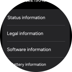 Press Software information.