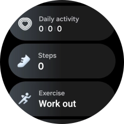 The number of steps for the day is displayed below Steps.