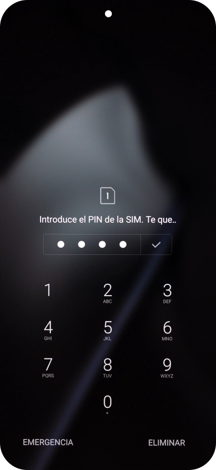 Si lo solicita el teléfono, introduce el código PIN y pulsa el icono de aceptar.